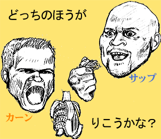 �J�[�����T�b�v